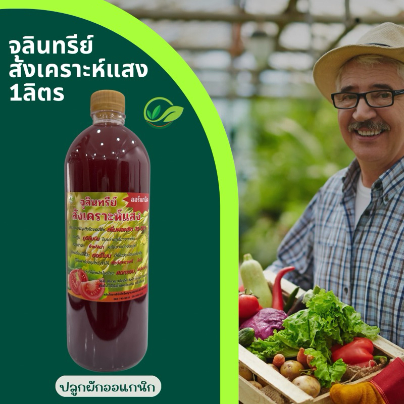 จุลินทรีย์สังเคราะห์แสง เข้มข้น 1 ลิตร ปลูกผักออแกนิก