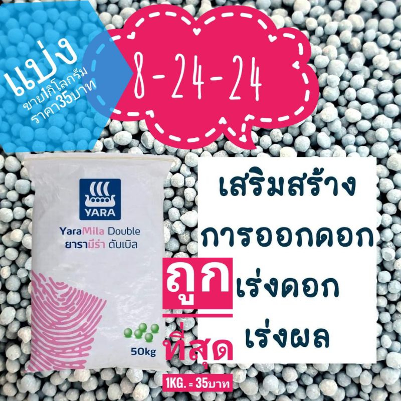 ปุ๋ยเคมีเร่งดอก8-24-24