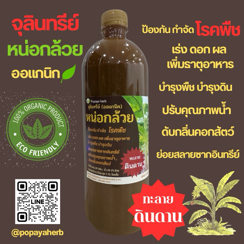 จุลินทรีย์หน่อกล้วย 1 ลิตร ปลูกผักออแกนิก🌱