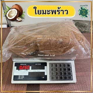 ใยมะพร้าว วัสดุคลุมดินจากธรรมชาติ100% สำหรับรองก้นกระถาง คลุมดิน ช่วยกักเก็บความชุ่มชื้นให้ดิน พร้อมส่ง!!