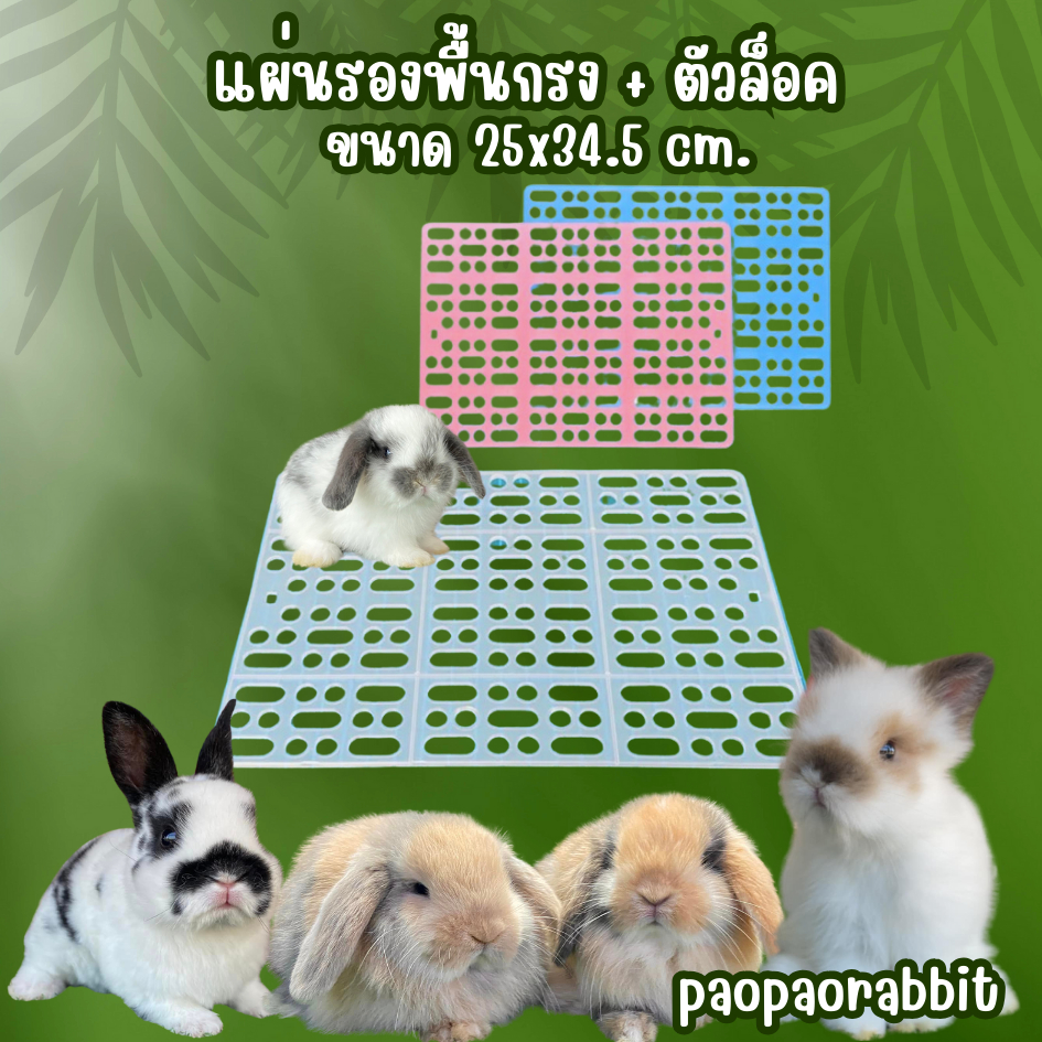 แผ่นรองพื้นกรง แผ่นรองพื้นถนอมเท้าสัตว์เลี้ยง มีตัวล็อคให้