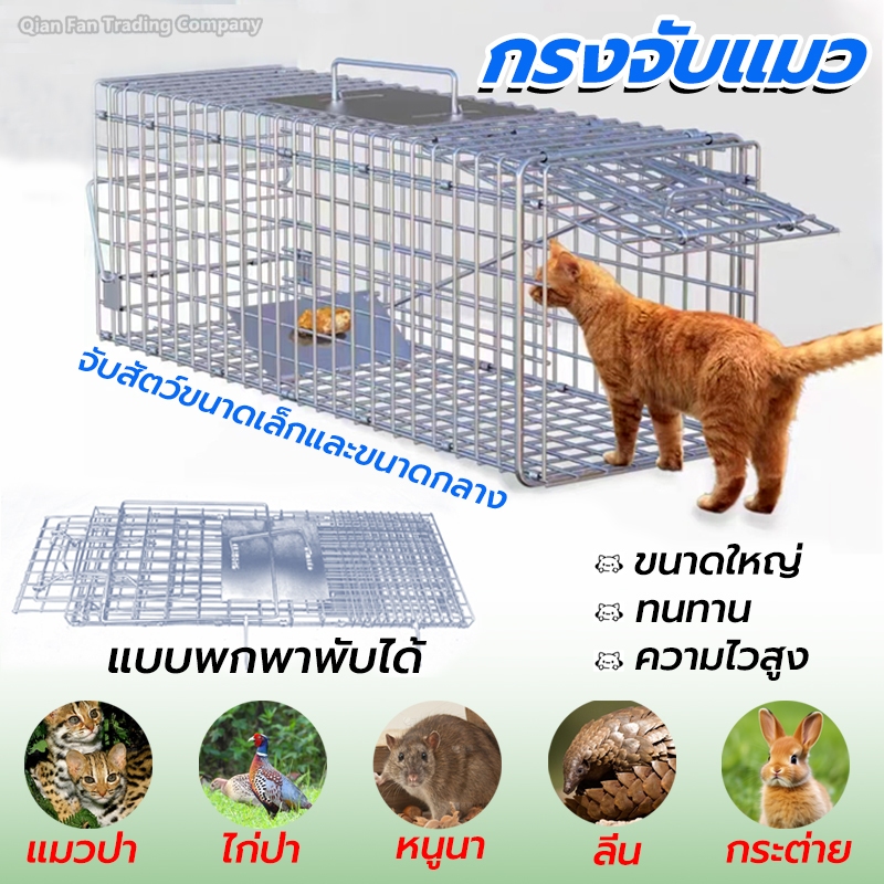 กรงดักแมว กับดักแมว(ไซส์ M/L/XL/XXL) สเหล็กเส้น ชุบกาวาไนท กันสนิม พับได้ ความไวสูง จับแมวจรจัด ไม่เป็นอันตรายต่อแมว