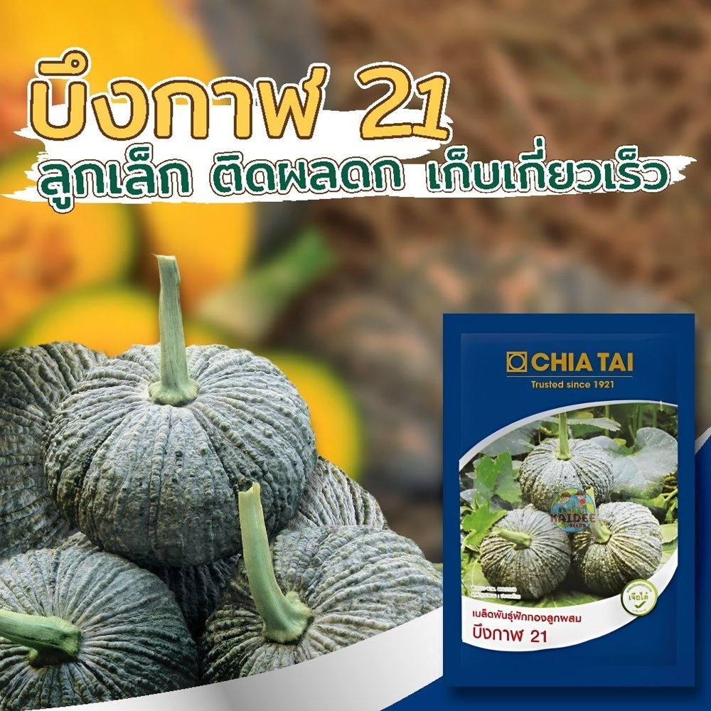 เมล็ดฟักทอง บึงกาฬ21 ตราเจียไต๋ ขนาด20กรัม เมล็ดพันธุ์ฟักทอง เมล็ดพันธุ์ผัก เมล็ดผักสวนครัว เจียไต๋ ฟักทองลูกเล็ก