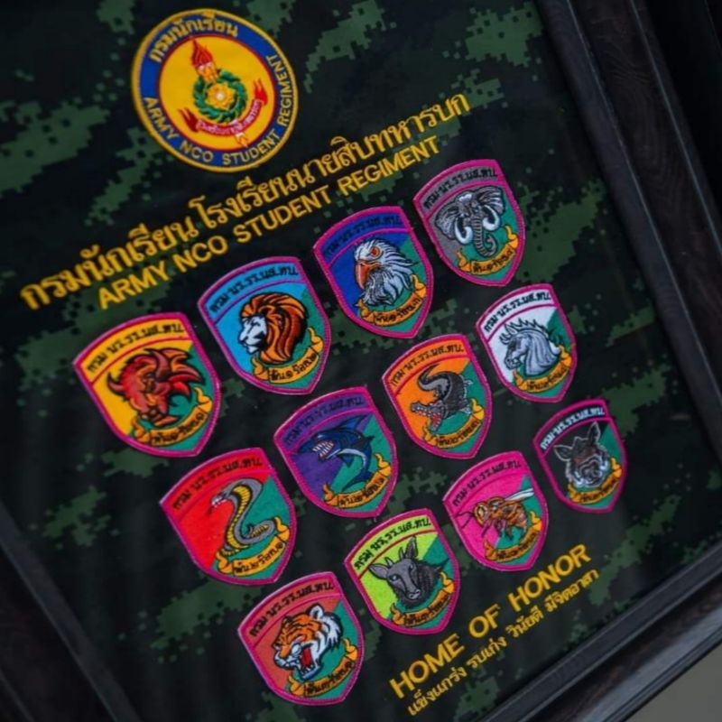 อาร์มผ้าปัก กองร้อย นนส.ทบ.12 กองร้อย แบบเย็บติดตีนตุ๊กแก