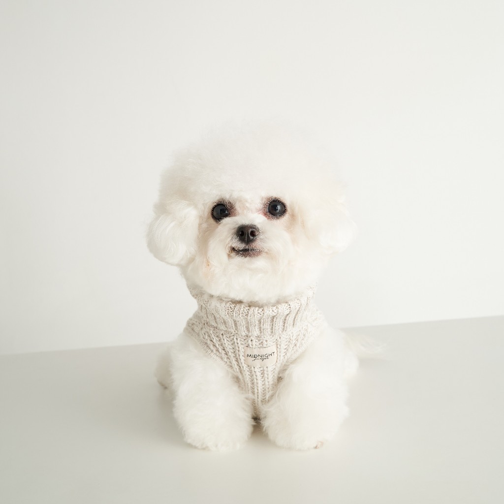 Midnight Layer - Knitwear Collection - เสื้อผ้าสัตว์เลี้ยง (LIGHT GREY)