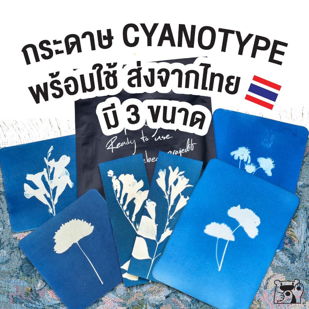 กระดาษไซยาโนไทป์ พร้อมใช้ มี 3 ขนาด แกะซองใช้ได้เลย ส่งจากไทยรอไม่นาน  cyanotype ภาพพิมพ์แสงอาทิตย์