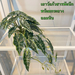 (พร้อมส่ง)เถาวัลย์ใบไม้ประดิษฐ์ เถาวัลย์ไม้เลื้อย เถาวัลย์ต้นไม้เสมือนจริง ใช้ตกแต่งฝาผนังบ้าน ร้านอาหารคาเฟ่
