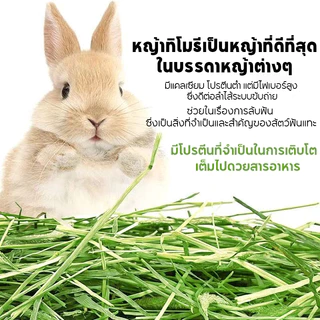 หญ้าทิมโมธี ออแกนิคอบลมร้อน 500g Super Premium Timothy สำหรับกระต่าย และสัตว์ฟันแทะ