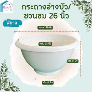 อ่างบัว กระถางชวนชม ขนาด 26 นิ้ว