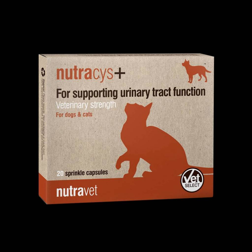 Nutracys+ อาหารเสริมดูแลระบบทางเดินปัสสาวะ สุนัขและแมว 20 เม็ด