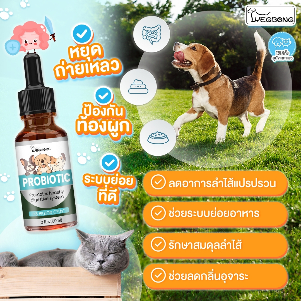 Probiotics สุนัข แมว ป้องกันท้องผูก ถ่ายเหลว ระบบย่อยมีปัญหา ลำไส้แปรปรวน ลดกลิ่นอุจจาระ 60 ml.