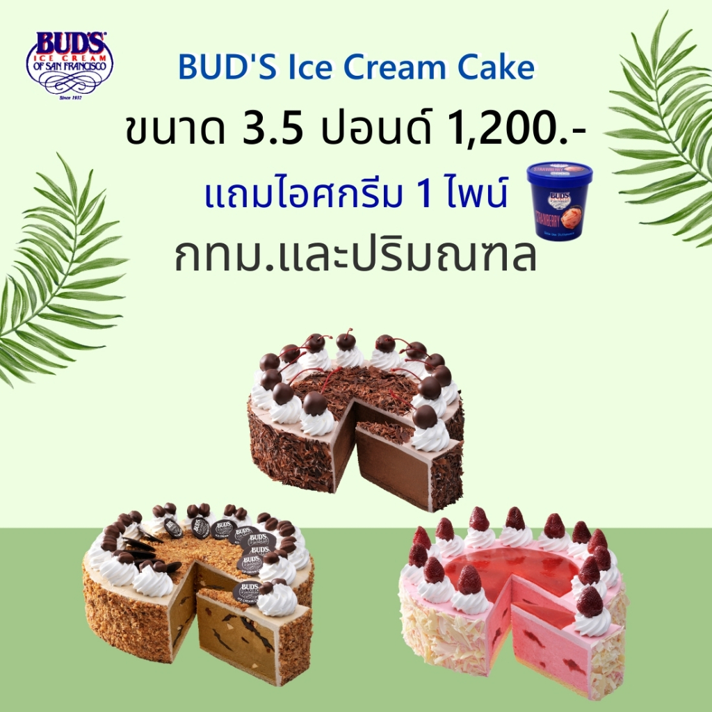 ซื้อไอศกรีมเค้ก 3.5 ปอนด์ แถมไอศกรีม 1 ไพน์ ส่งฟรี กทม-ปริมณฑล เพียง 1,200 บาท