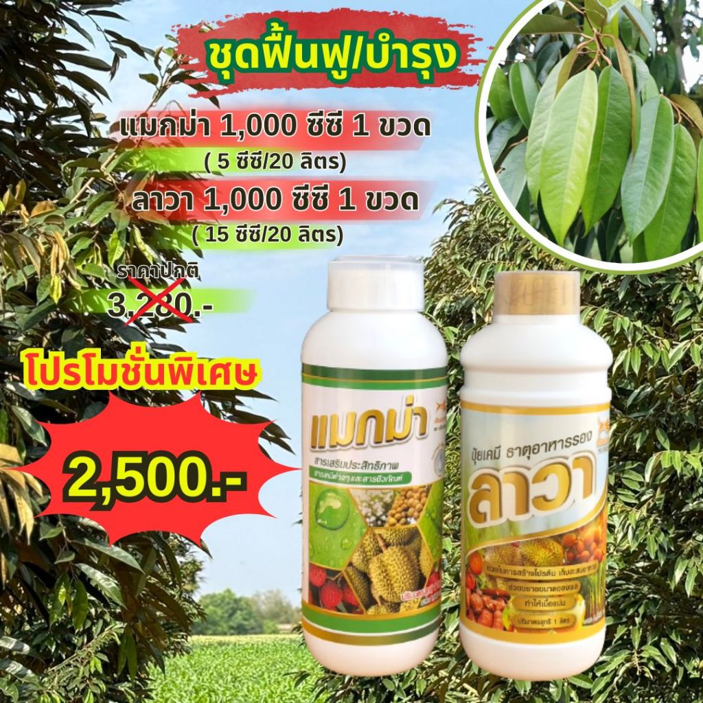 ❗ ส่งฟรี ❗ แมกม่าลาวา แมกม่า สารจับใบ ต้านเพลี้ยลดการหลุดร่วง + ปุ๋ยนำ้ลาวา เร่งฟื้นฟูต้น เพิ่มปริมาณผลผลิต