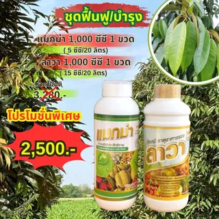 ❗ ส่งฟรี ❗ แมกม่าลาวา แมกม่า สารจับใบ ต้านเพลี้ยลดการหลุดร่วง + ปุ๋ยนำ้ลาวา เร่งฟื้นฟูต้น เพิ่มปริมาณผลผลิต