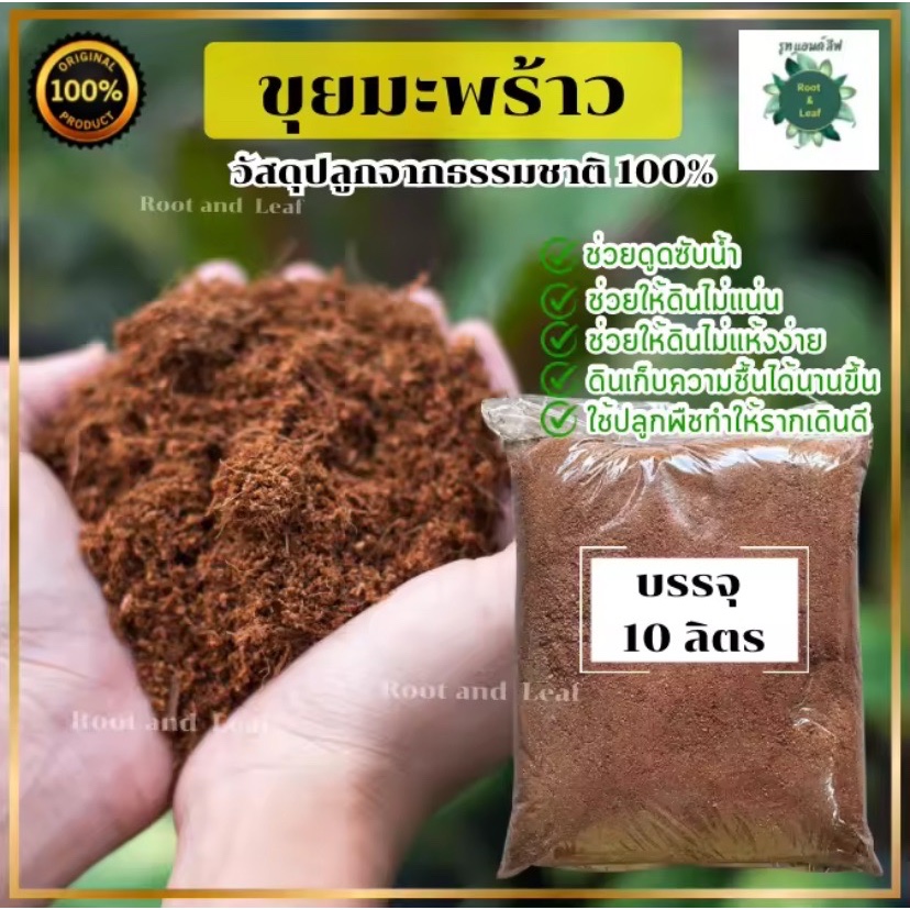 ขุยมะพร้าวแห้ง ถุงใหญ่ บรรจุ 10 ลิตร วัสดุปลูกจากธรรมชาติ ปราศจากเชื้อรา แห้ง ใหม่ สำหรับชำกิ่ง - ชำราก ต้นไม้ เพาะปลูก