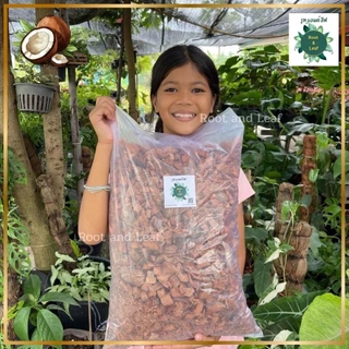 กากมะพร้าวสับ สำหรับเพาะปลูก-ชำรากต้นไม้ เก็บความชื้น เพิ่มช่องว่างในดิน ทำให้ดินโปร่ง มีแร่ธาตุอาหาร เหมาะกับต้นไม้ทุกช