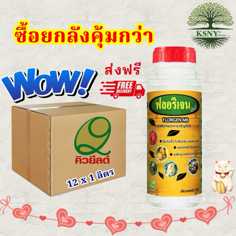 ฟลอริเจน เอ็มบี (ส่งฟรี) ฟื้นต้นเร็ว ใบเขียวเข้ม สม่ำเสมอ