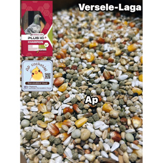 อาหารนกพิราบ พรีเมียม Champion Plus I.C.+แบ่งขาย