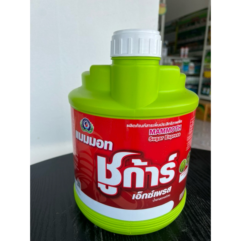 แมมมอท ชูก้าร์ เอ็กซ์เพรส ช่วยแตกยอด แตกตาดอก บำรุงดอก ลดผลร่วง ฟื้นต้น ขนาด 4 ลิตร