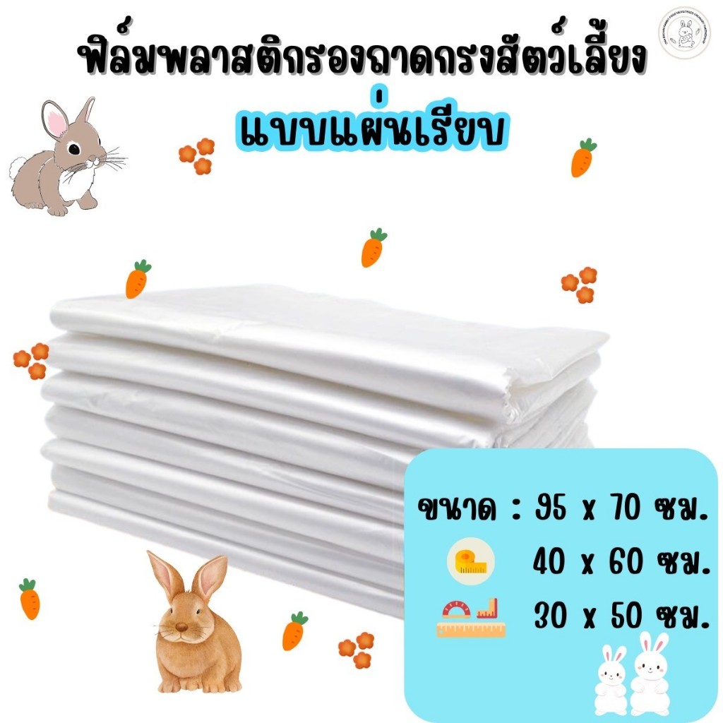รูปภาพ 9