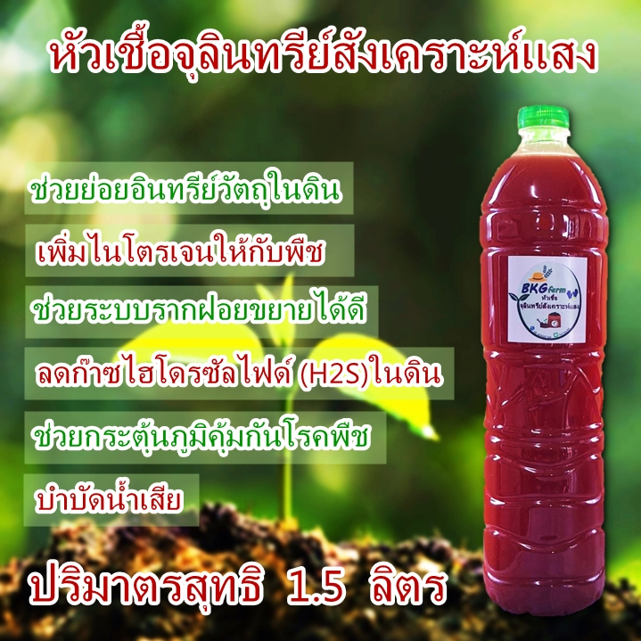 หัวเชื้อจุลินทรีย์สังเคราะห์แสง (PSB)