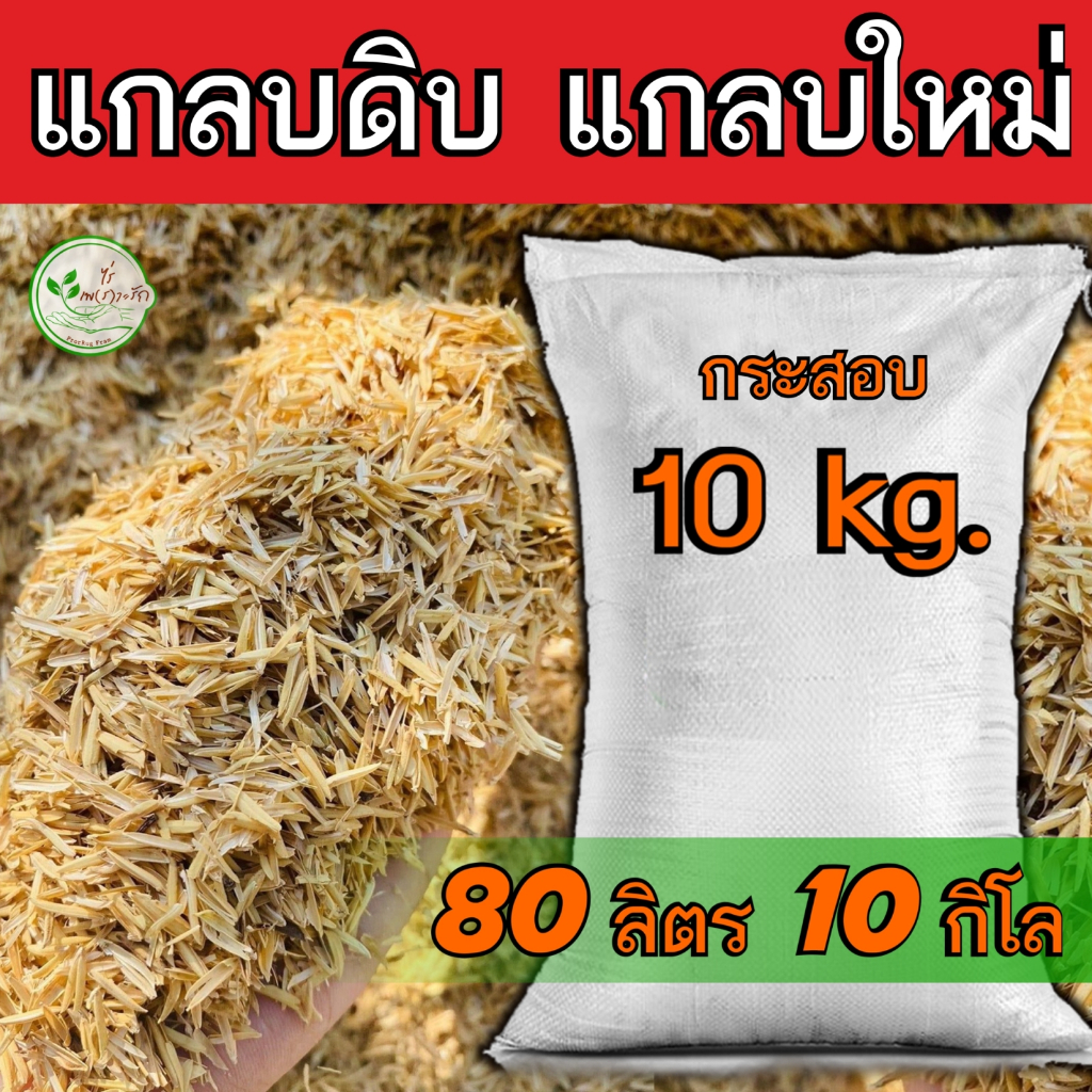 แกลบ แกลบดิบ แกลบใหม่ คัดคุณภาพอย่างดี กระสอบ 10 กิโล แกลบใหม่ ช่วยเพิ่มธาตุอาหารดินมีช่องว่างระบายน้ำระบายอากาศได้ดี