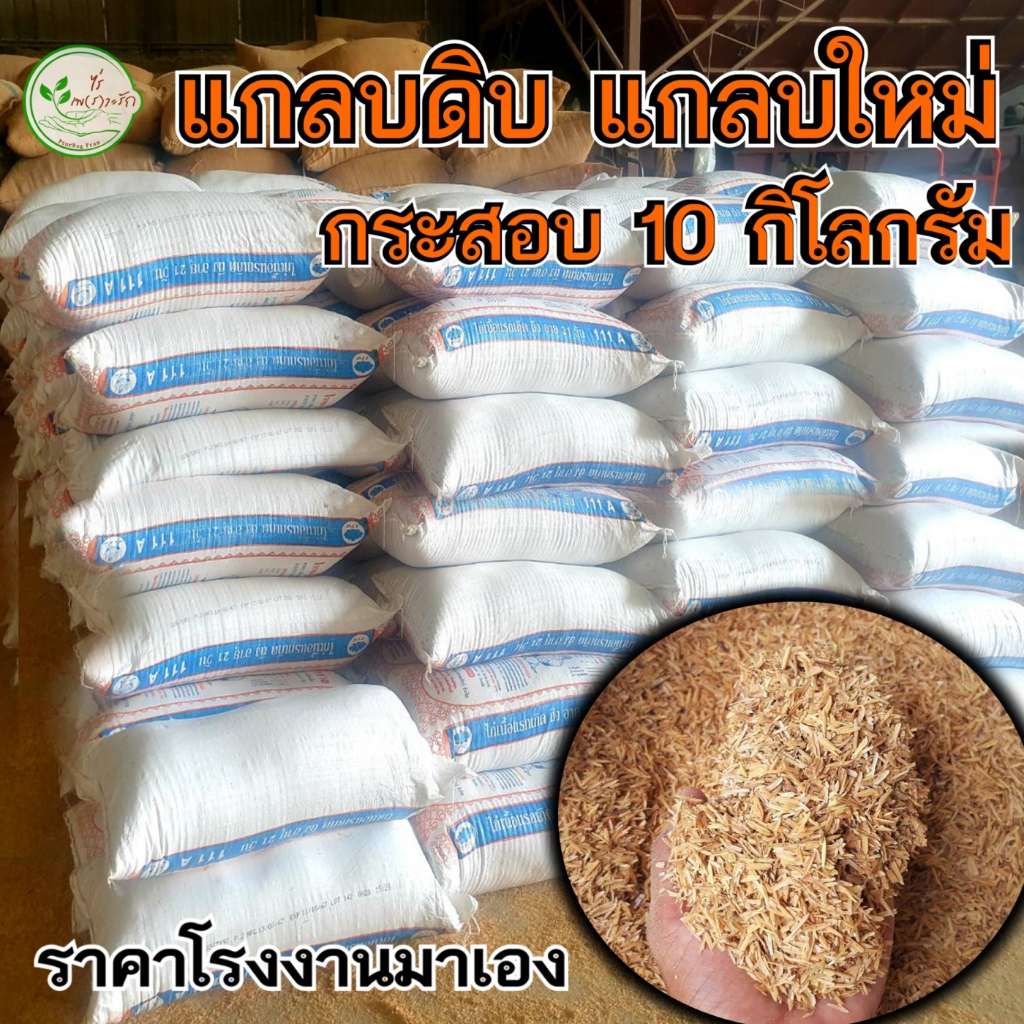 แกลบดิบ กระสอบ 10 กิโล แกลบ คัดคุณภาพดี แกลบใหม่ ช่วยเพิ่มธาตุอาหารดินมีช่องว่างระบายน้ำระบายอากาศได้ดี
