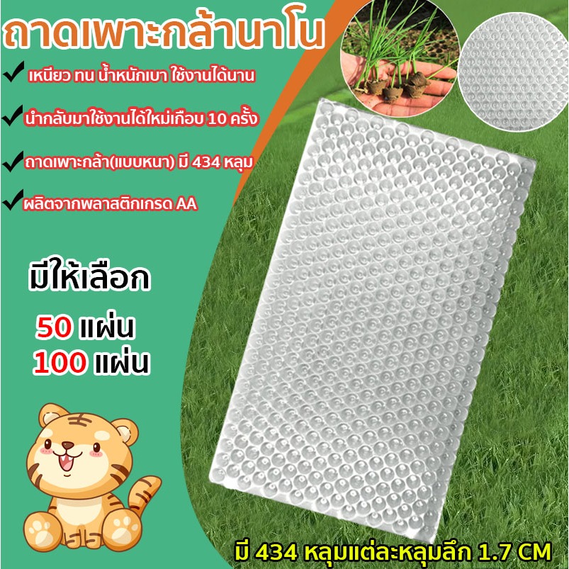 ถาดเพาะกล้านาโยน (แบบหนา) 434 หลุม50 ชิ้น100 ชิ้น ถาดกล้านาโยน ถาดเพาะกล้านาโยน ใช้เพาะเมล็ดข้าว