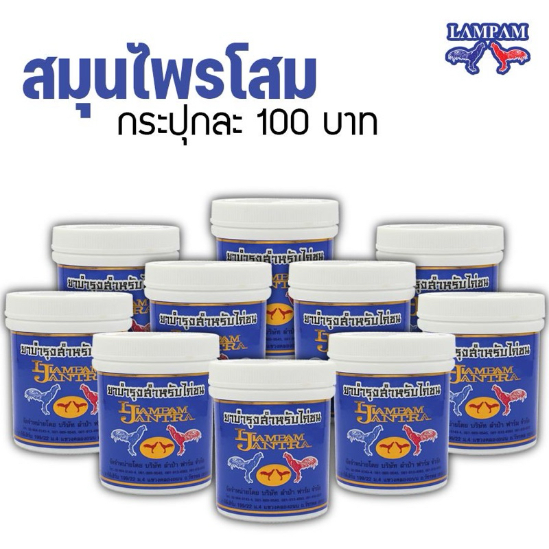 ลำปำ…อาหารสัตว์ปีกสมุนไพรโสม 2 ขวด