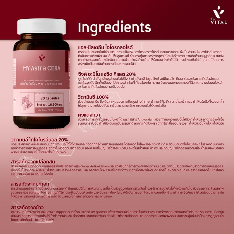 My Astra CERA จากThe Vital ช่วยดูแลผิวคุณ - รูปที่ 3