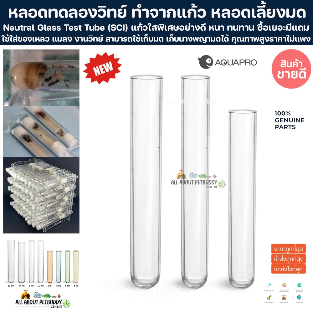 Glass Test Tube หลอดทดลอง หลอดเลี้ยงมด หลอดทดลองใหญ่ หลอดแก้วโบโรซิลิเกต Borosilicate หลอดทดลองแก้ว ant วิทยาศาสตร์ เคมี