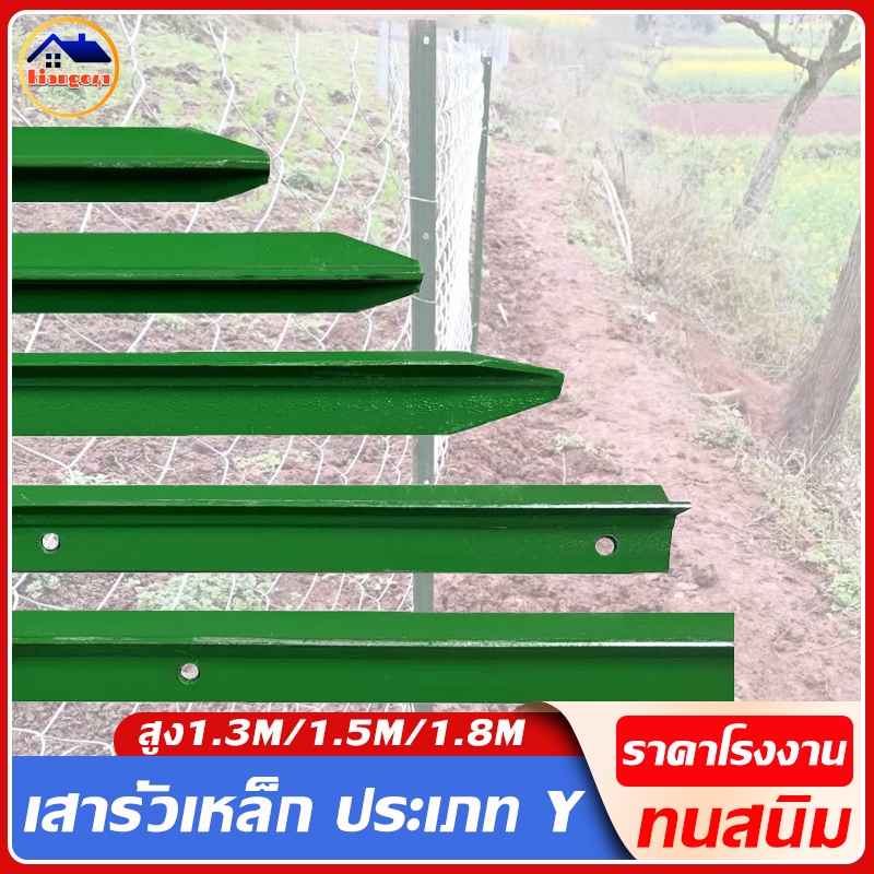 ราคาส่ง!!!เสารั้วเหล็กหนา เสารั้วตาข่าย ประเภท Y สูง1.3m 1.5m 1.8m เสาเหล็กสามเหลี่ยม เหล็กชุบPVC ทนสนิม หัวแหลม