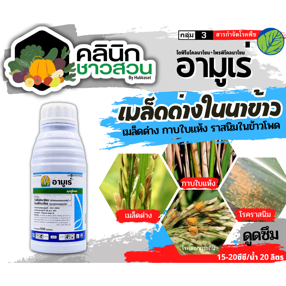 🥬 อามูเร่ (ไดฟีโนโคลนาโซล+โพรพิโคนาโซล) บรรจุ 500ซีซี ป้องกันโรคเมล็ดด่างในนาข้าว