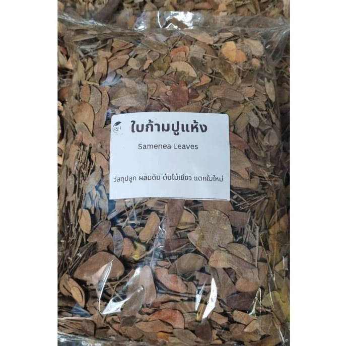 ใบก้ามปูแห้ง 300 g. คุณภาพสูง ใช้ผสมดิน เร่งการแตกยอด ใบเขียว ต้นไม้สมบูรณ์   Samenea Leaves