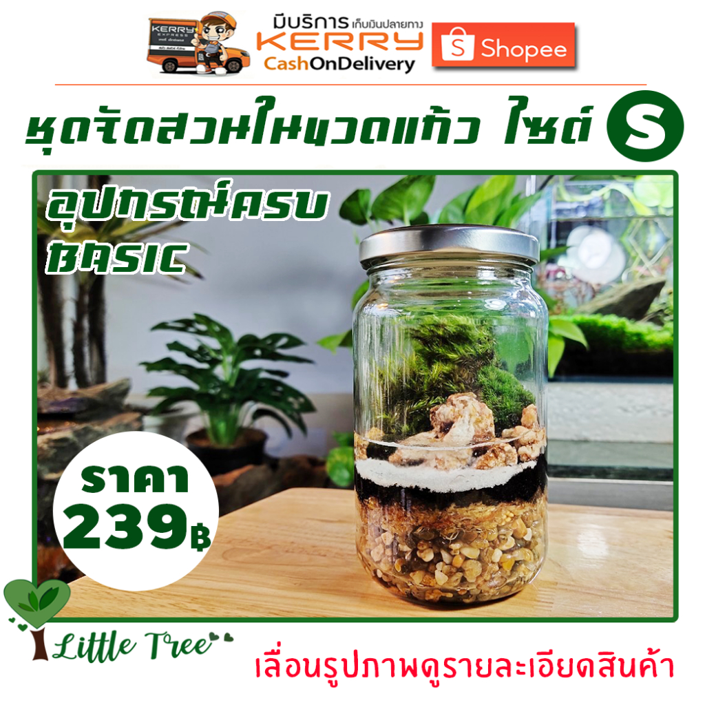 สวนขวด DIY ชุดจัดสวน ไซต์ S เบสิค ราคา 239 บาท มีสินค้าพร้อมส่ง