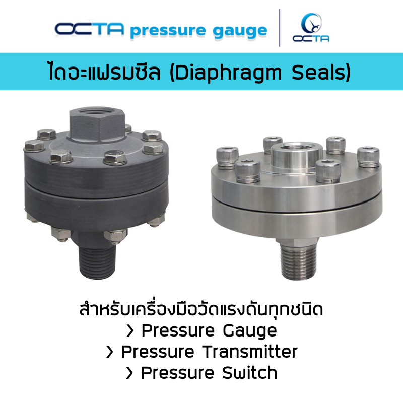 Diaphragm Seals ไดอะแฟรมซีลสำหรับ Pressure gauge ยี่ห้อ OCTA รุ่น DS-Series