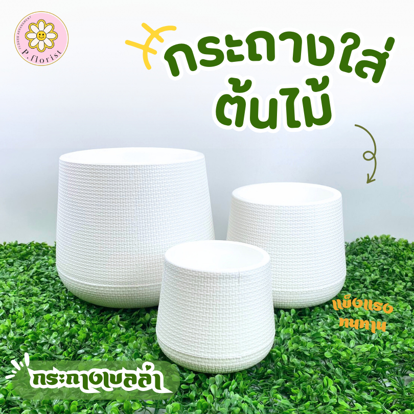กระถางเบลล่า กระถางมินิมอล 5" 7" 9" 12" กระถางเบลล่าสไตล์มินิมอล กระถางพลาติก พร้อมส่งจากไทย