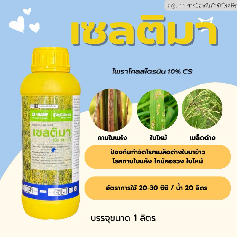 🌳เซลติมา 1ลิตร🌿 (ไพราโคลสโตรบิน) ป้องกันเชื้อราเมล็ดด่างในนาข้าว ใบไหม้ เน่าคอรวง กาบใบแห้ง