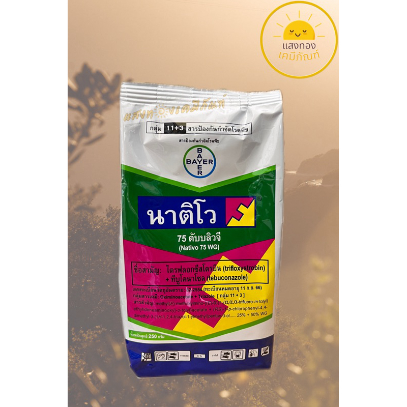นาติโว 75 ดับบลิวจี (ทีบูโคนาโซล + ไตฟลอกซีสโตรบิน) ยาป้องกันกำจัดเชื้อราโรคพืช
