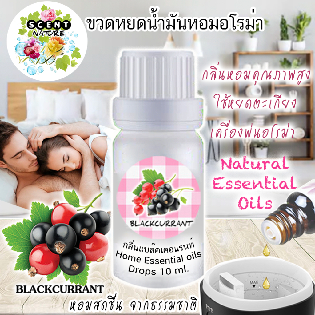 ขวดหยดอโรม่า 10ml เข้มข้น หยดตะเกียง ถุงหอม และเครื่องพ่น (มีราคาส่ง)