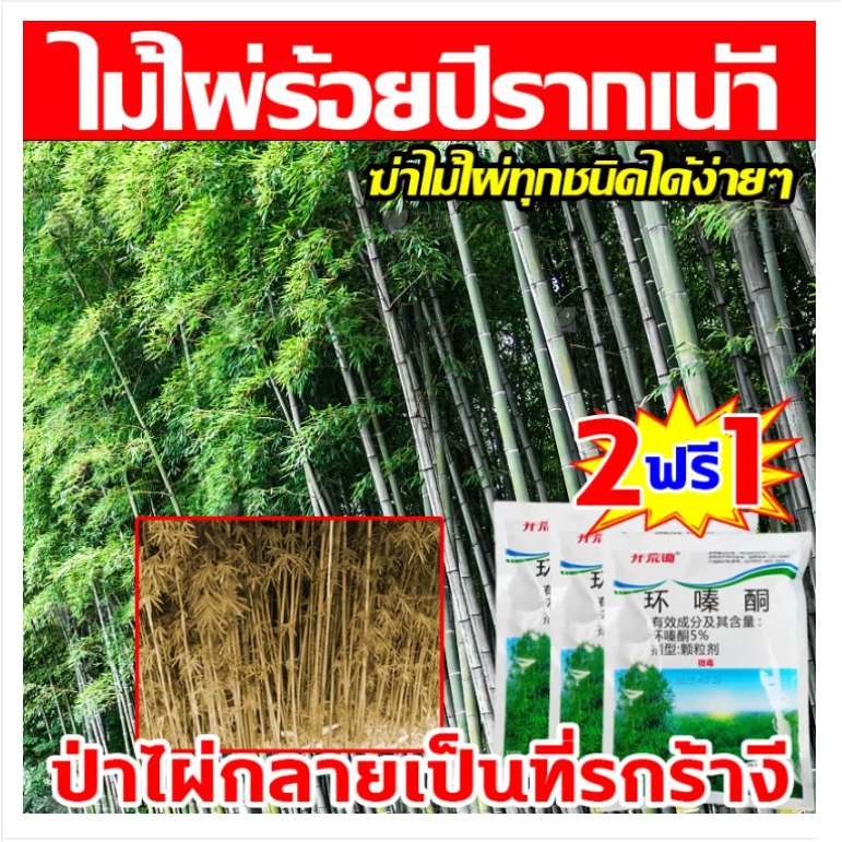 ซื้อ 2แถม 1】รากไม้เน่า500g ยาฆ่าต้นไม้ใหญ สร้างมาเพื่อฤดูฝน ยาฆ่าตอต้นไม้ แค่โรยเพียงเล็กน้อย กำจัดวัชพืชเปิดที่รกราง