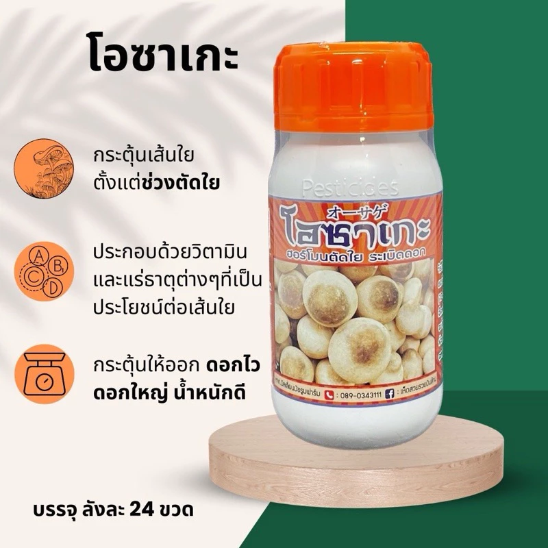 โอซาเกะ ปุ๋ยสำหรับเห็ดฟาง กระตุ้นให้ออก ดอกไว ดอกใหญ่ น้ำหนักดี