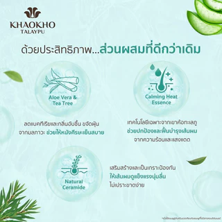 Khaokho Talaypu เขาค้อทะเลภู แชมพู สูตรว่านหางจระเข้และที ทรี ช่วยเติมความชุ่มชื่น (320 มล.)