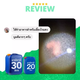 ปุ๋ยน้ำอามิ A2 (กากผงชูรสแท้) 5, 10, 20, 30 ลิตร ทำน้ำเขียว เลี้ยงไรแดง ปลูกพืช | Ami Ami by AT & Growever