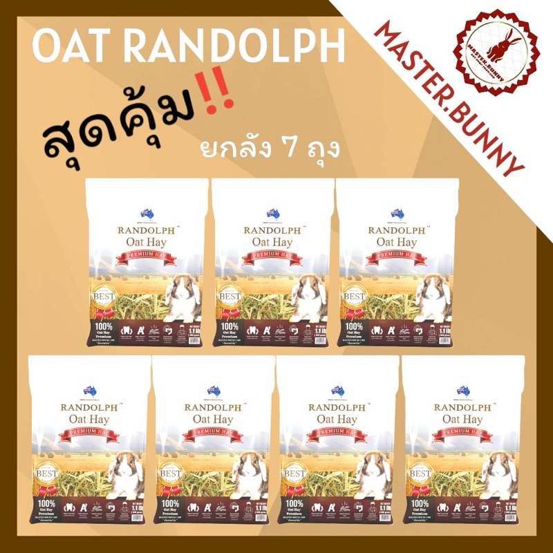 Oat Randolph ยกลัง (1x7) 7 ถุง