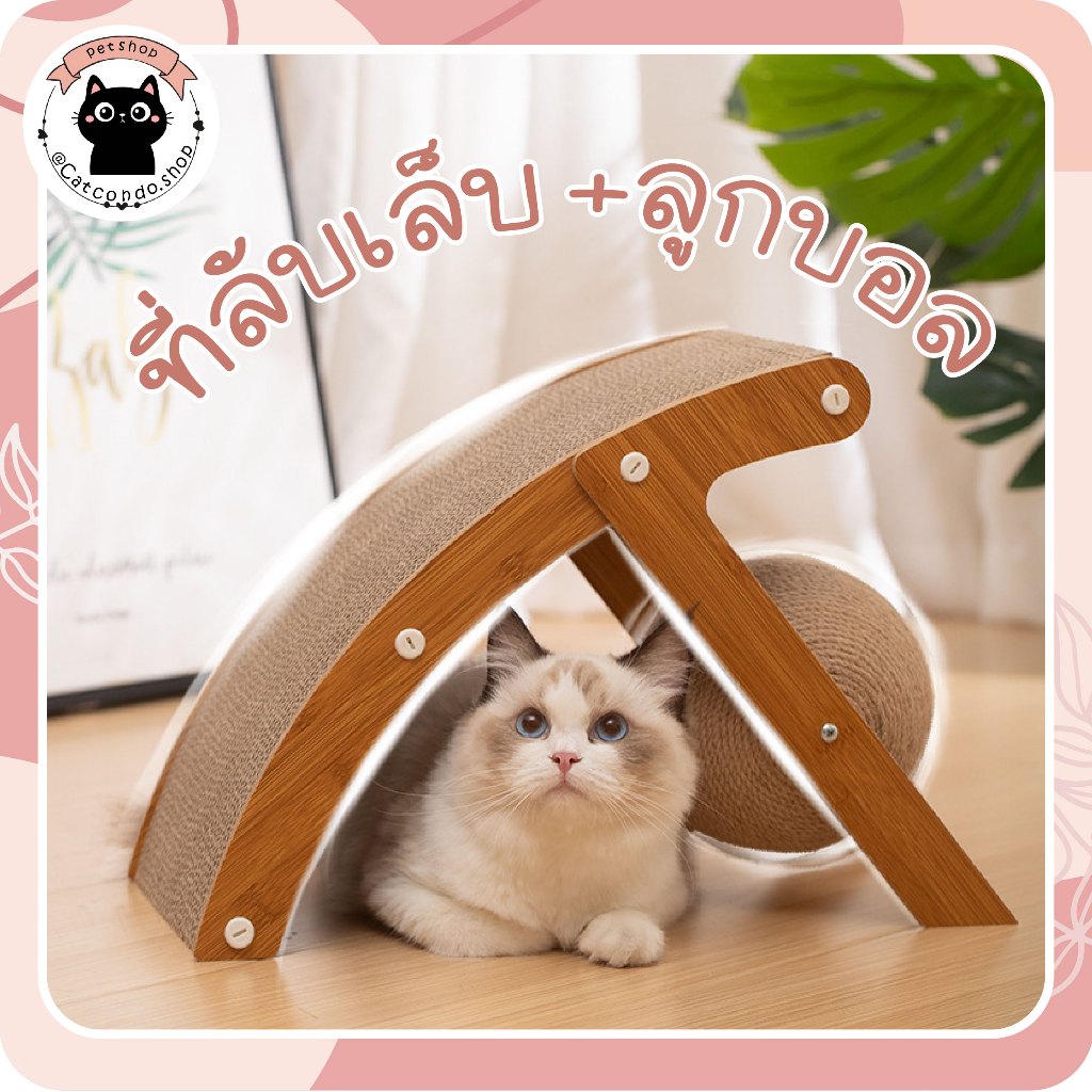 ลูกบอลลับเล็บ+กระดาน ที่ลับเล็บแมว ที่ฝนเล็บแมว กระดานแมว ของเล่นแมว
