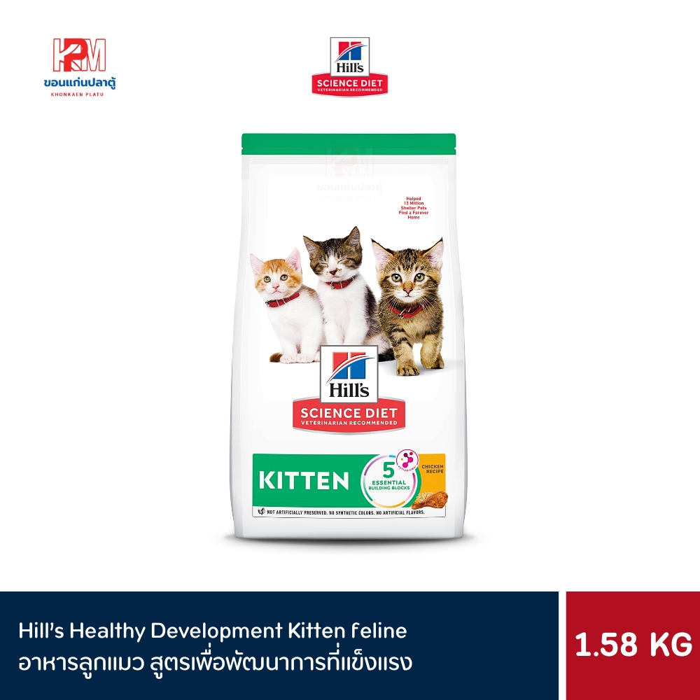 Hill's Science Diet Healthy Development Kitten feline อาหารลูกแมว สูตรเพื่อพัฒนาการที่แข็งแรง ขนาด 1.58 KG.