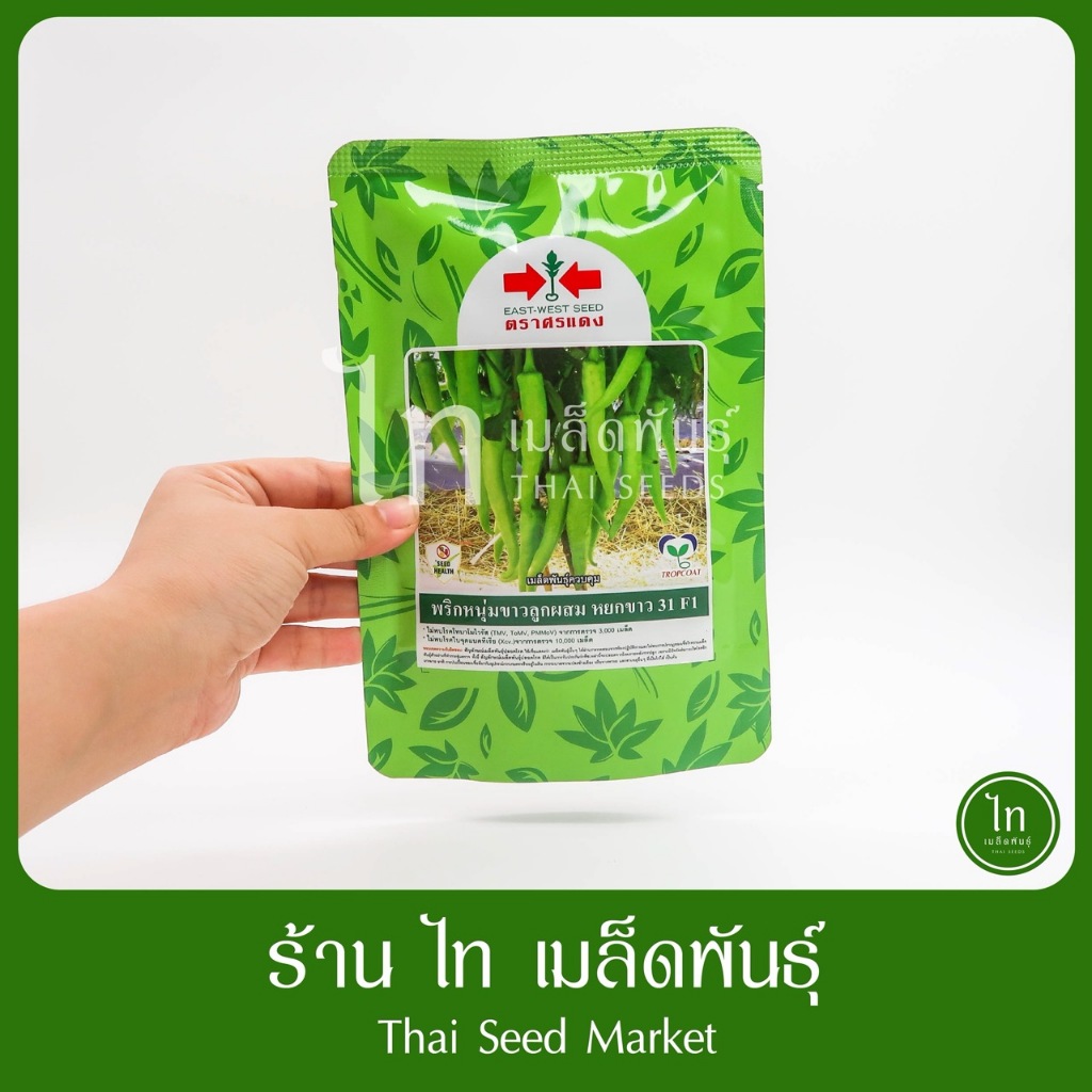 พริกหนุ่มขาว หนุ่มขาว หยกขาว 31 F1 เมล็ดพันธุ์ พริกหนุ่มขาว ลูกผสม ตราศรแดง บรรจุ 50 กรัม