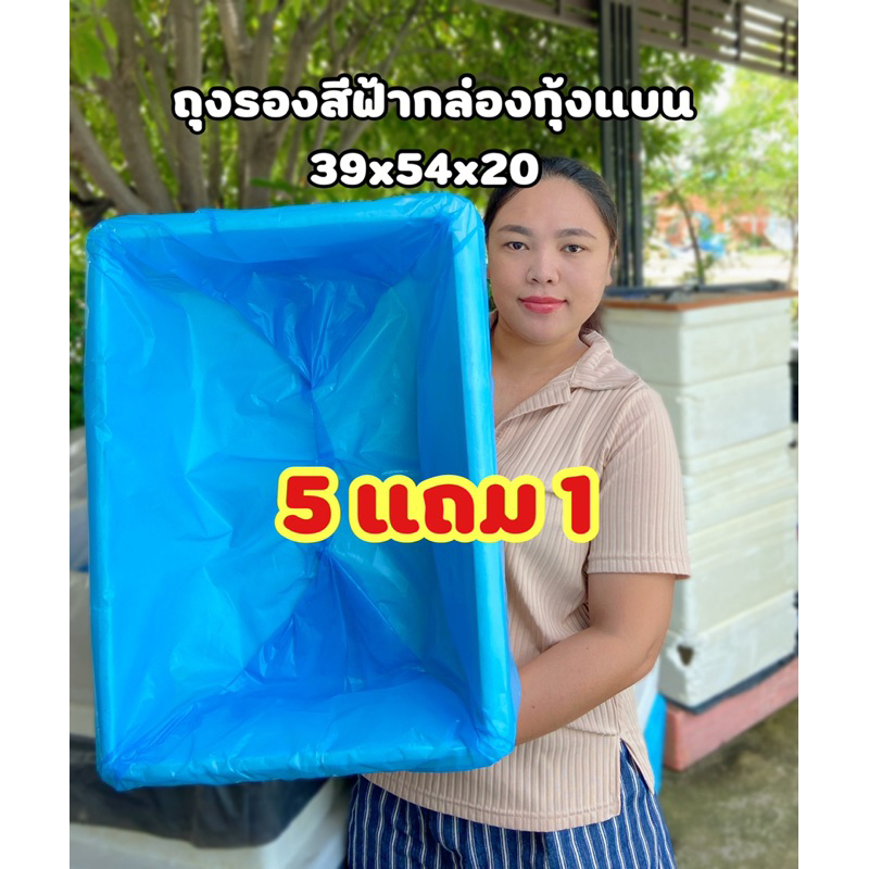5แถม1 (ถุงรองกล่องกุ้งสีฟ้า39x54x20)