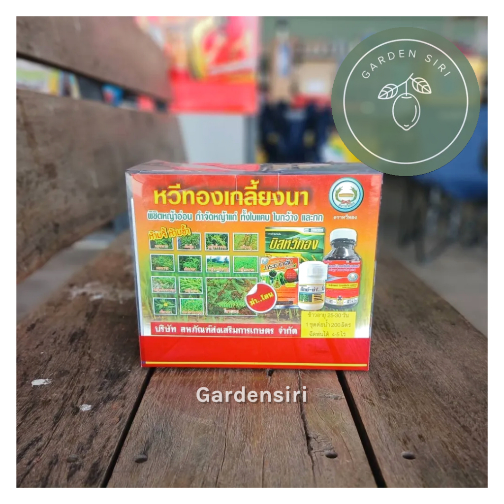 เกลี้ยงนา (หวีทอง) ข้าวอายุ 15-30วัน กำจัดหญ้าใบแคบใบกว้างในนาข้าว ราคา ถูกที่สุด ดีลบีเคเค